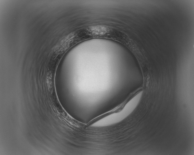 X0000085070559200703261234