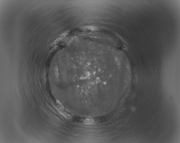 X0000085070562200703261234