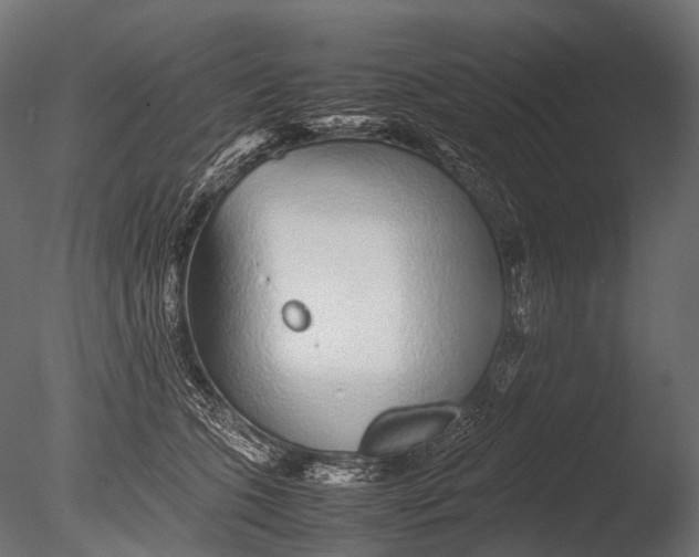 X0000085070563200703261234