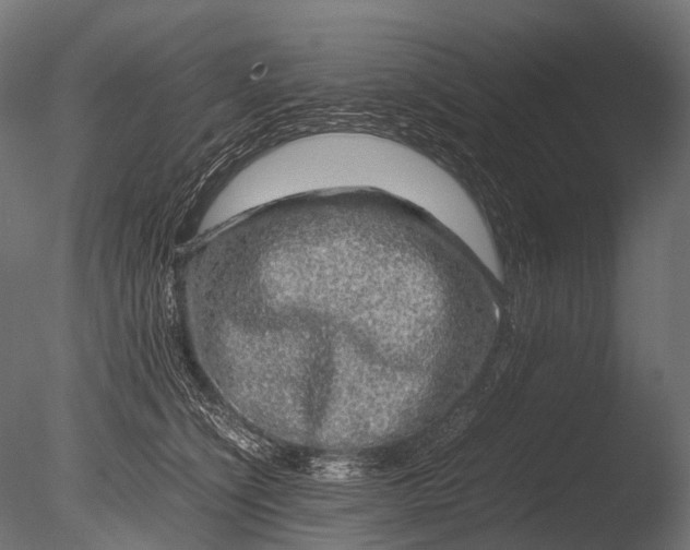 X0000085070564200703261234