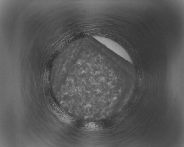 X0000085070565200703261234