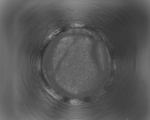 X0000085070568200703261234