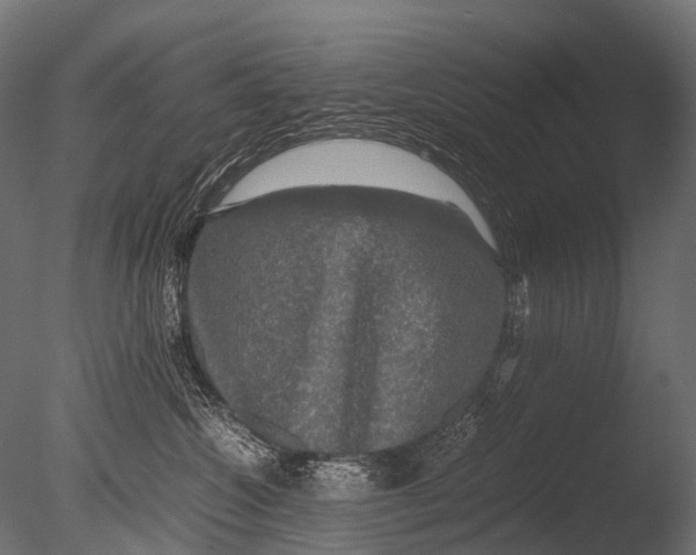 X0000085070572200703261235