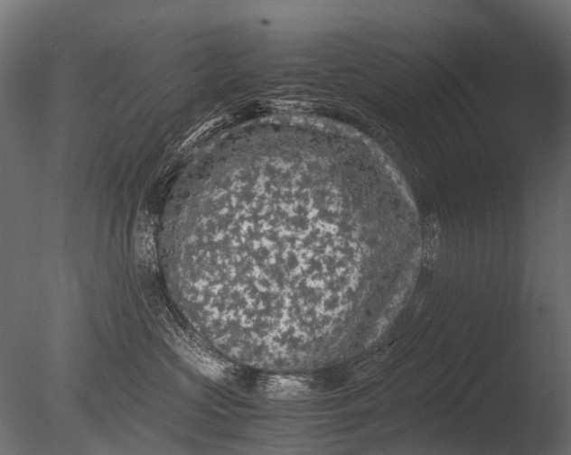 X0000085070573200703261235