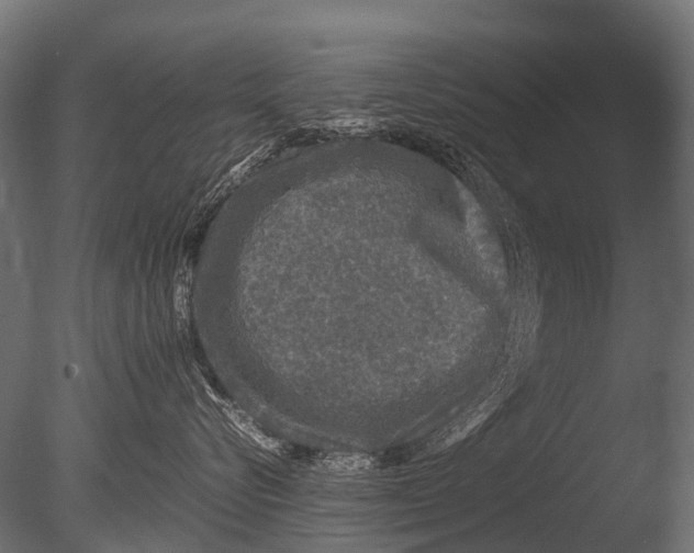 X0000085070576200703261235