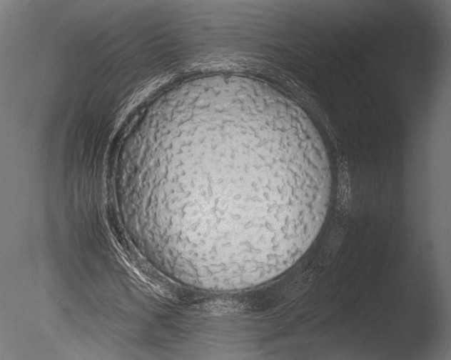 X0000085070578200703261234