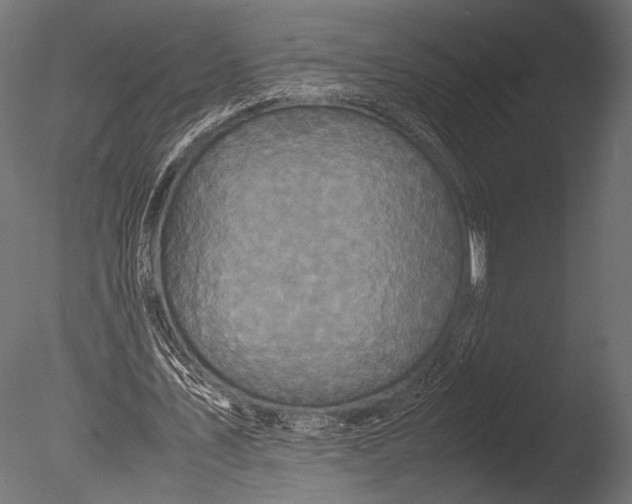 X0000085070579200703261234