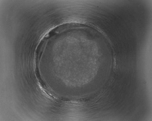 X0000085070580200703261234