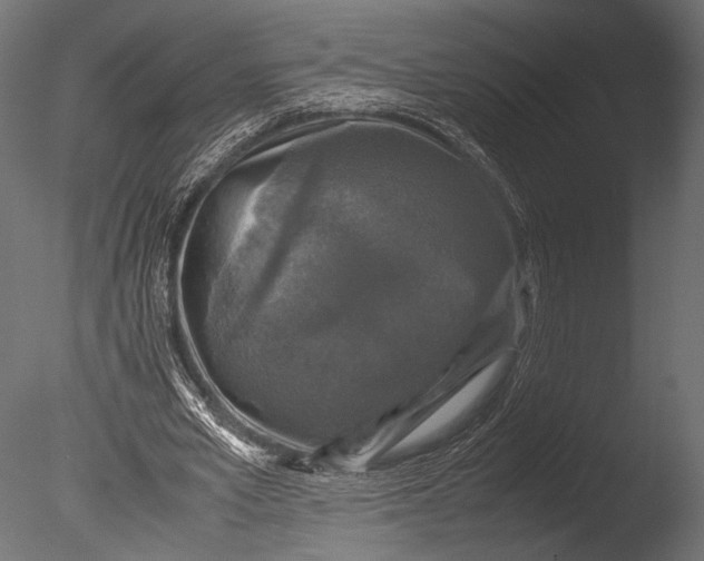 X0000085070581200703261234