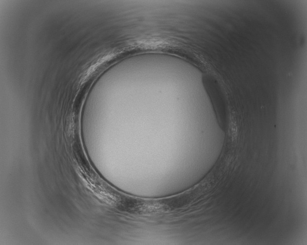 X0000085070583200703261234