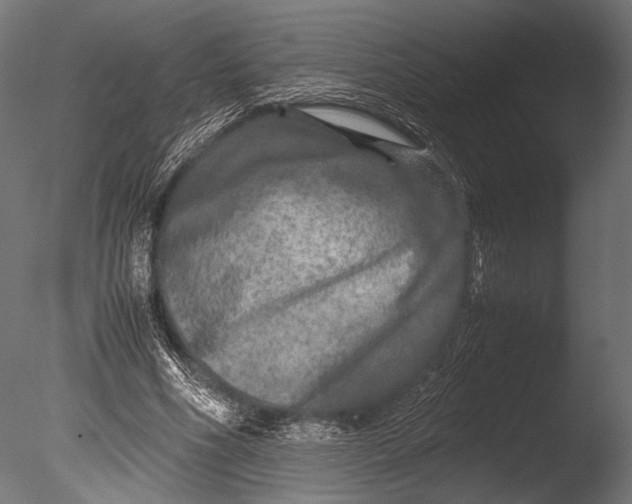 X0000085070586200703261234