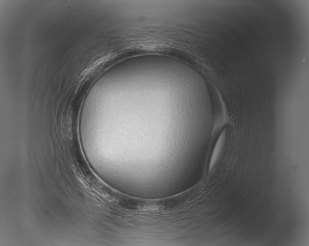 X0000085070587200703261234