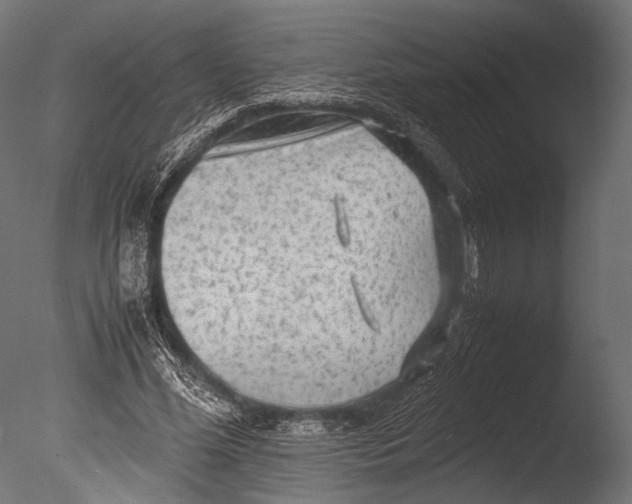 X0000085070588200703261234