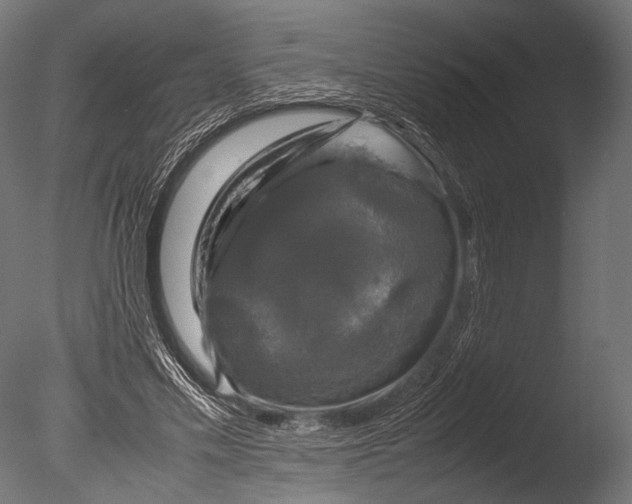 X0000085070589200703261234