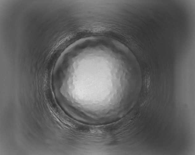 X0000085070591200703261234