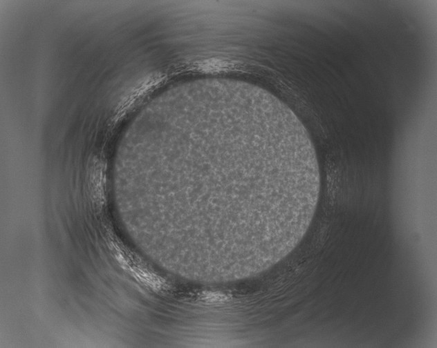 X0000085070592200703261233