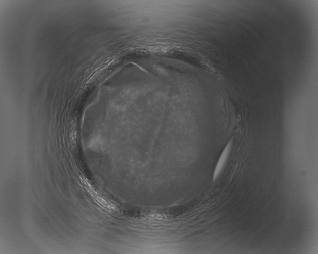 X0000085070593200703261233