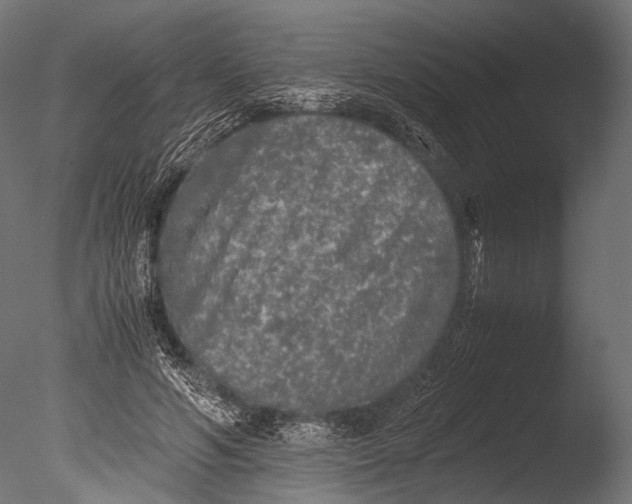 X0000085070594200703261233