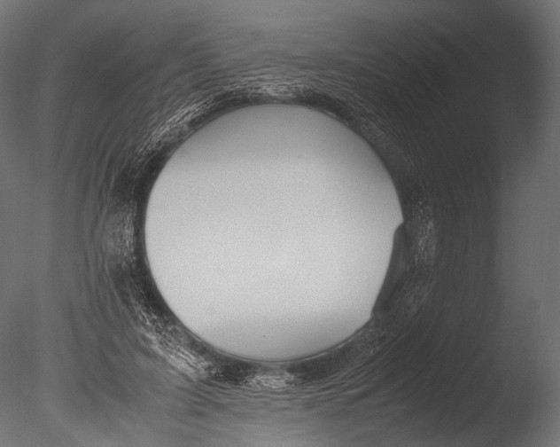 X0000085070595200703261233