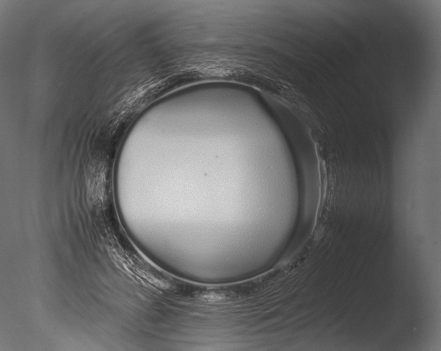 X0000085070596200703261233