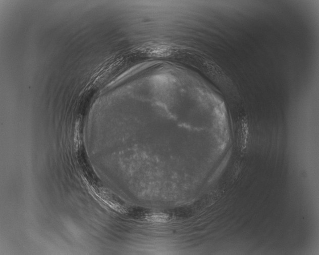 X0000085070598200703261233