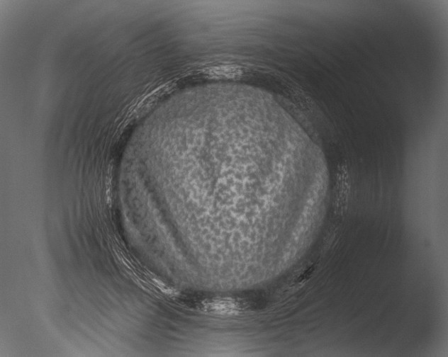 X0000085070600200703261233