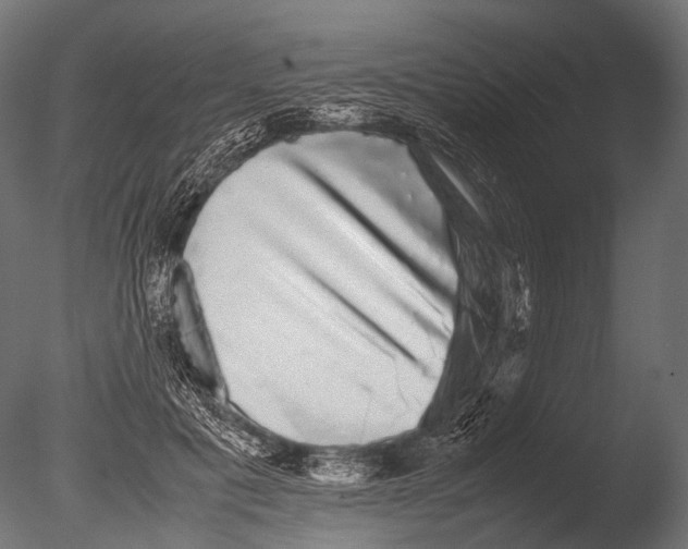 X0000085070601200703261233