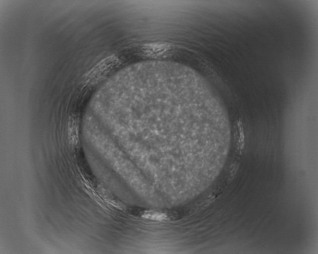 X0000085070602200703261233