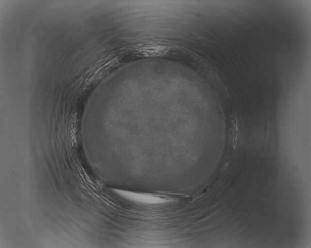 X0000085070604200703261233