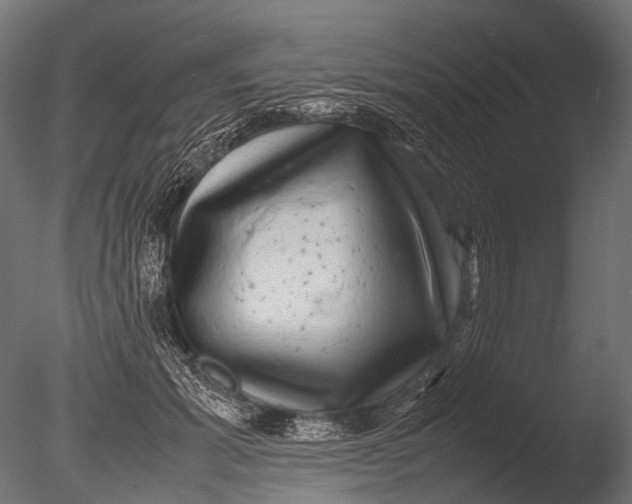 X0000085070605200703261233