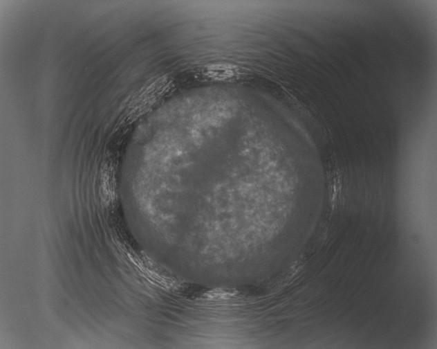 X0000085070606200703261233