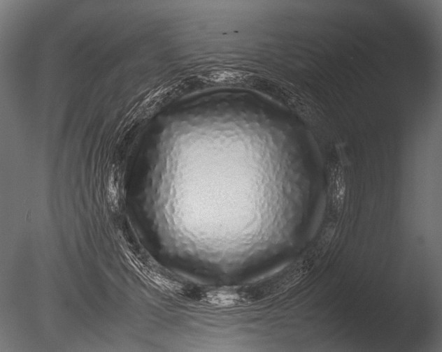 X0000085070607200703261233