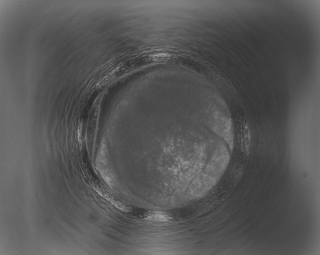 X0000085070610200703261233