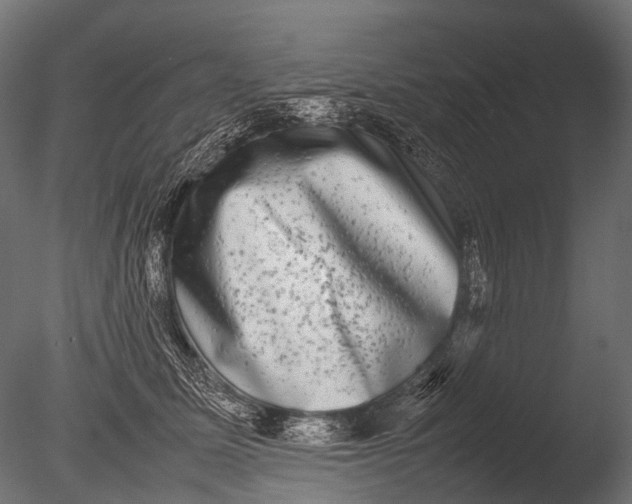 X0000085070611200703261233