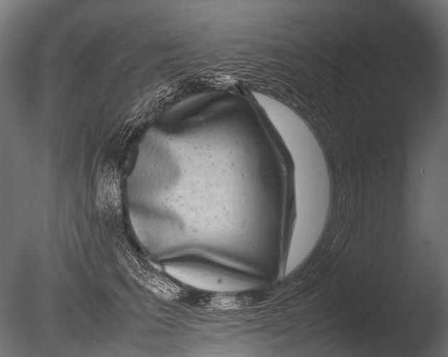 X0000085070613200703261233