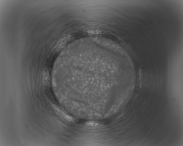 X0000085070614200703261233