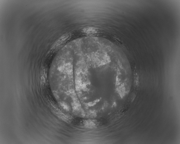 X0000085070618200703261233