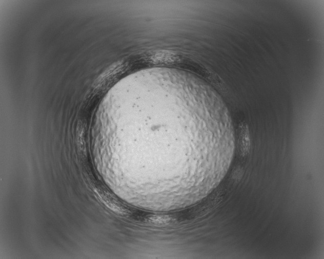 X0000085070619200703261233