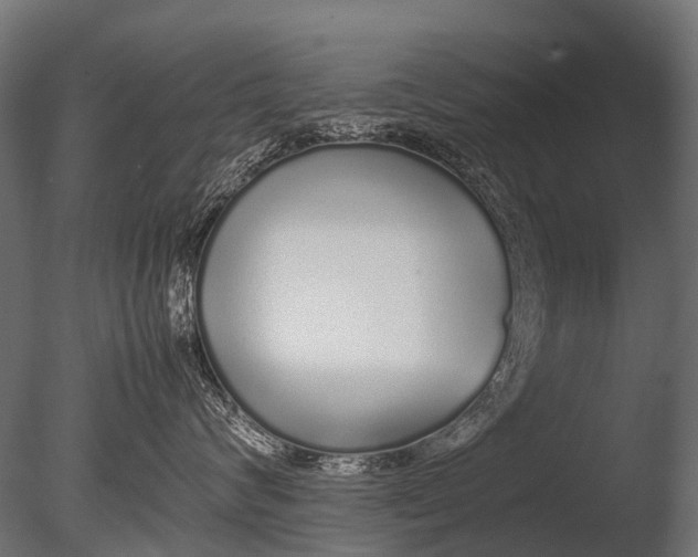 X0000085070624200703261233