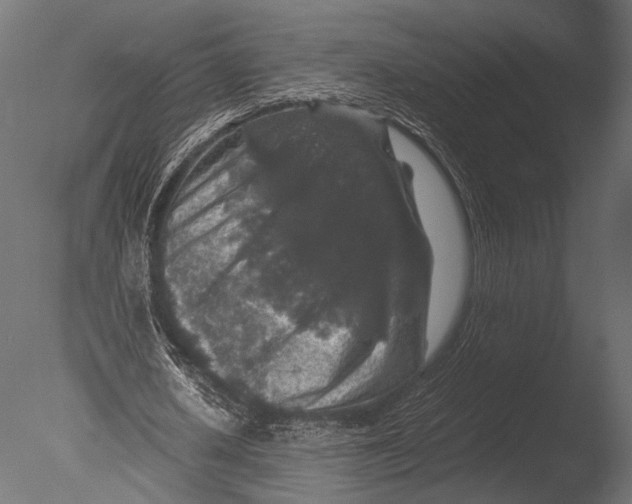 X0000085070626200703261232