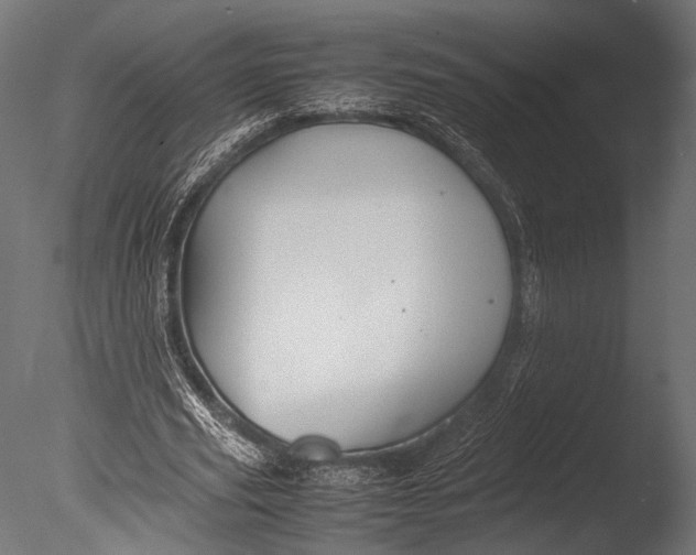 X0000085070629200703261232