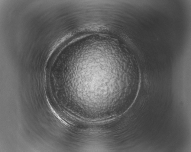 X0000085070630200703261232