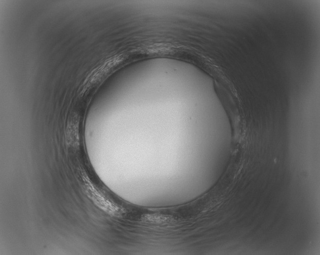 X0000085070633200703261232