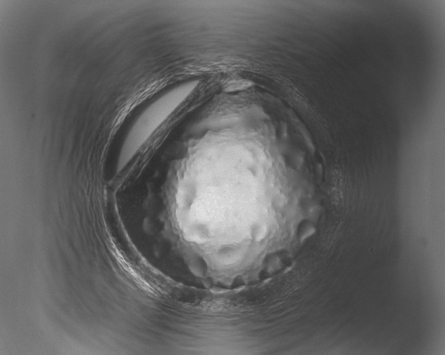 X0000085070634200703261232