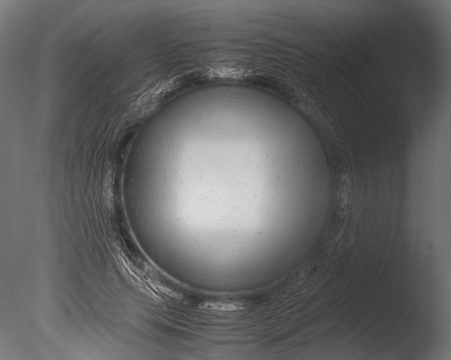 X0000085070639200703261232