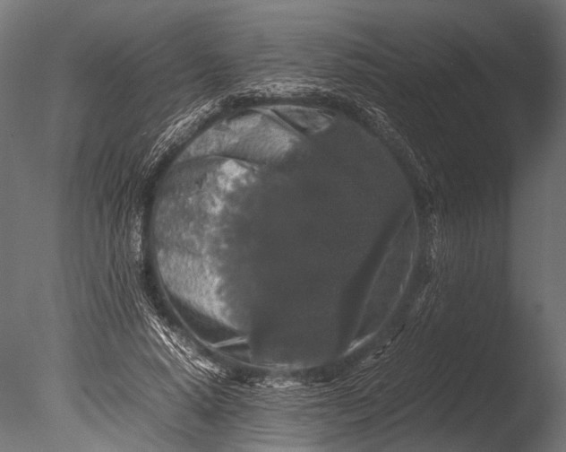 X0000085070640200703261232