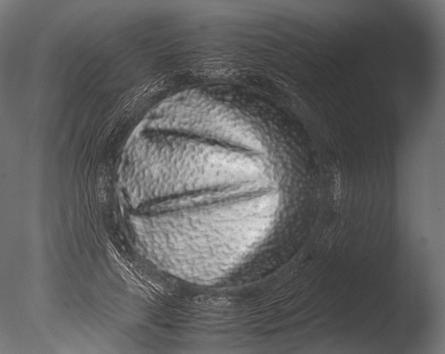 X0000085070643200703261232