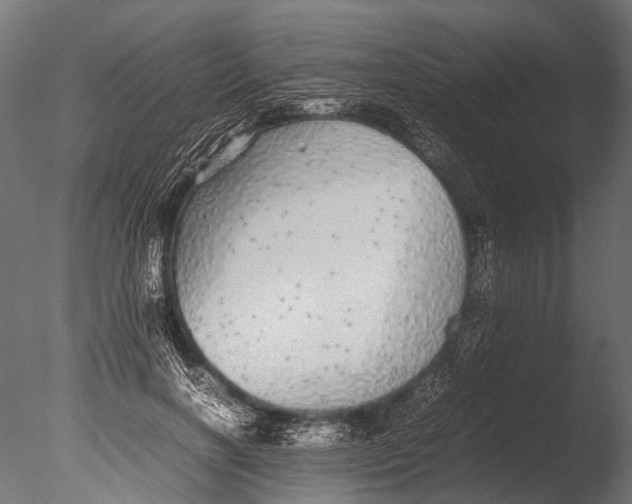 X0000085070646200703261232