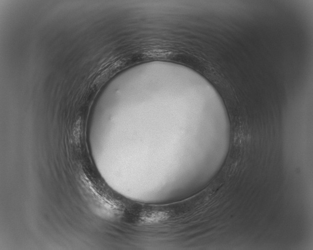 X0000085070647200703261232