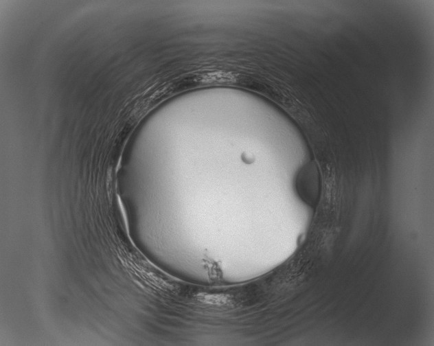 X0000085070649200703261233